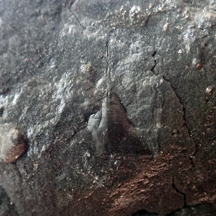 velikost s trnem 10 mm (sag), Levín