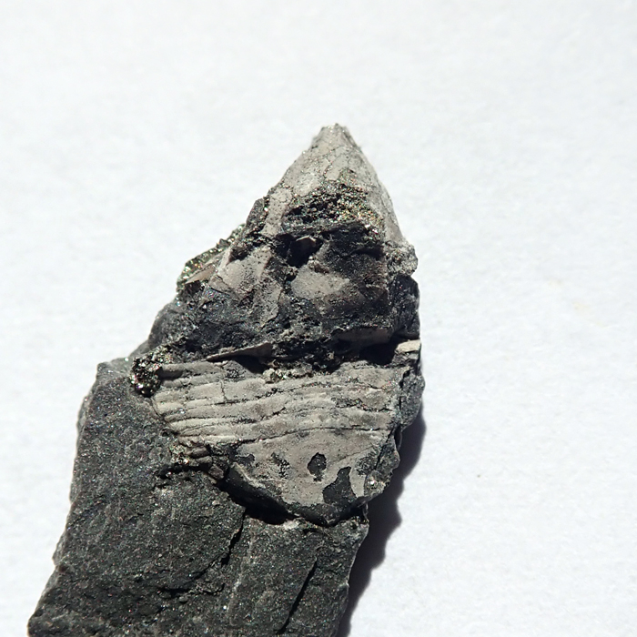 11 mm (sag), Levín, 2023