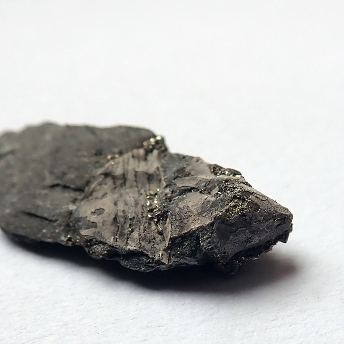 11 mm (sag), Levín, 2023