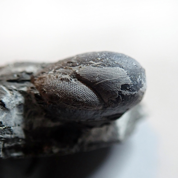 13 mm (sag), Levín, 2023