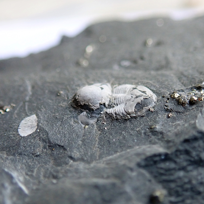 10 mm (sag), Levín, 2023