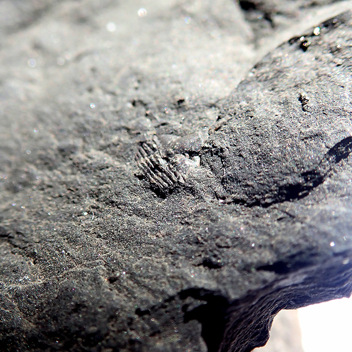 5 mm (sag), Levín, 2024